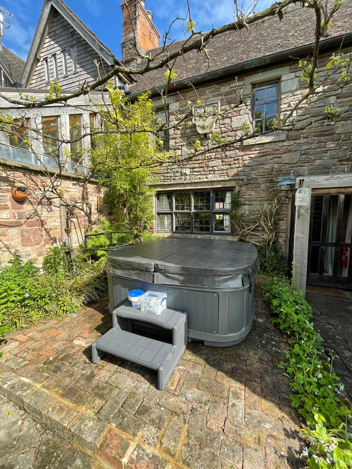 daphne at white birch