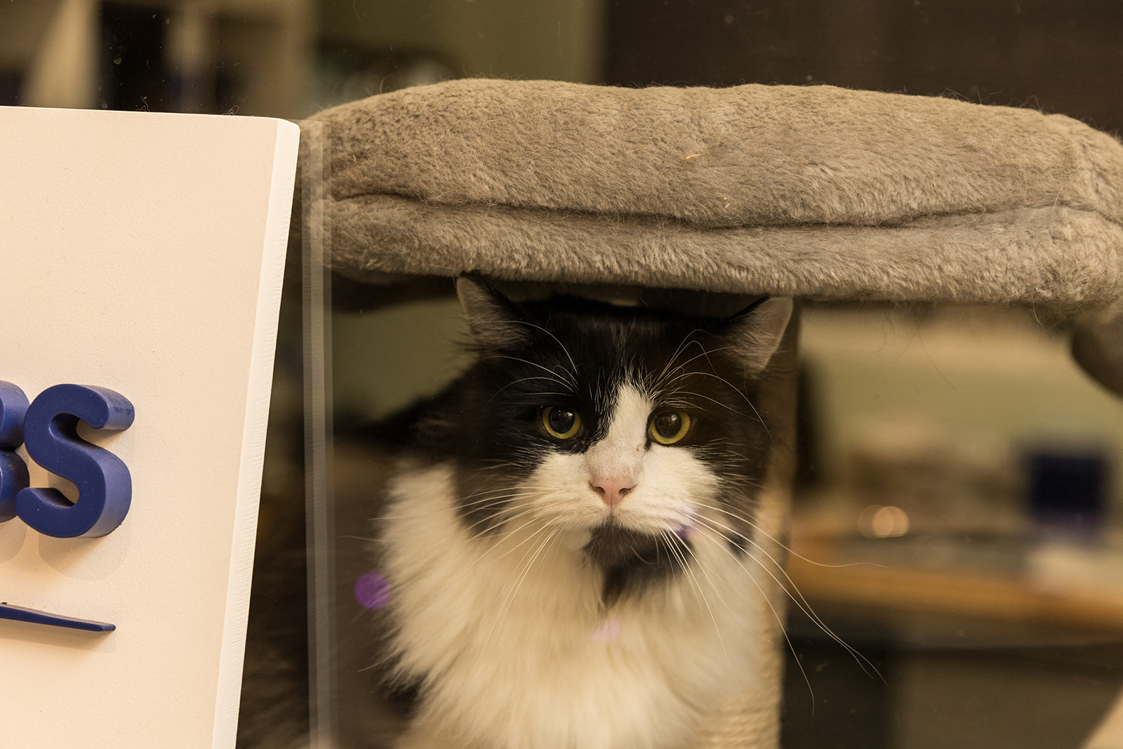 Living by Velvet Estates